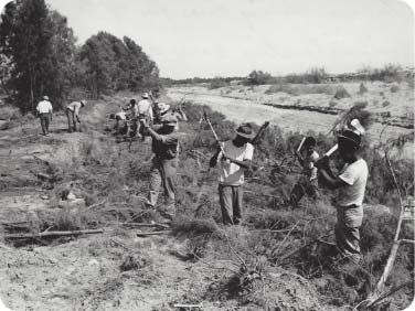 Construction on Thunderbird Ranch