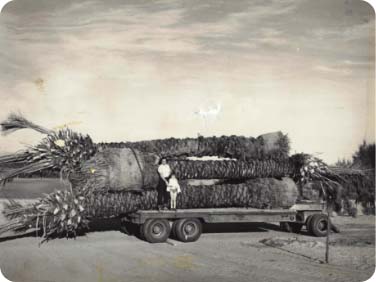 Construction on Thunderbird Ranch